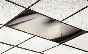 See-Through Mirrored Panels for camera or direct observation viewing